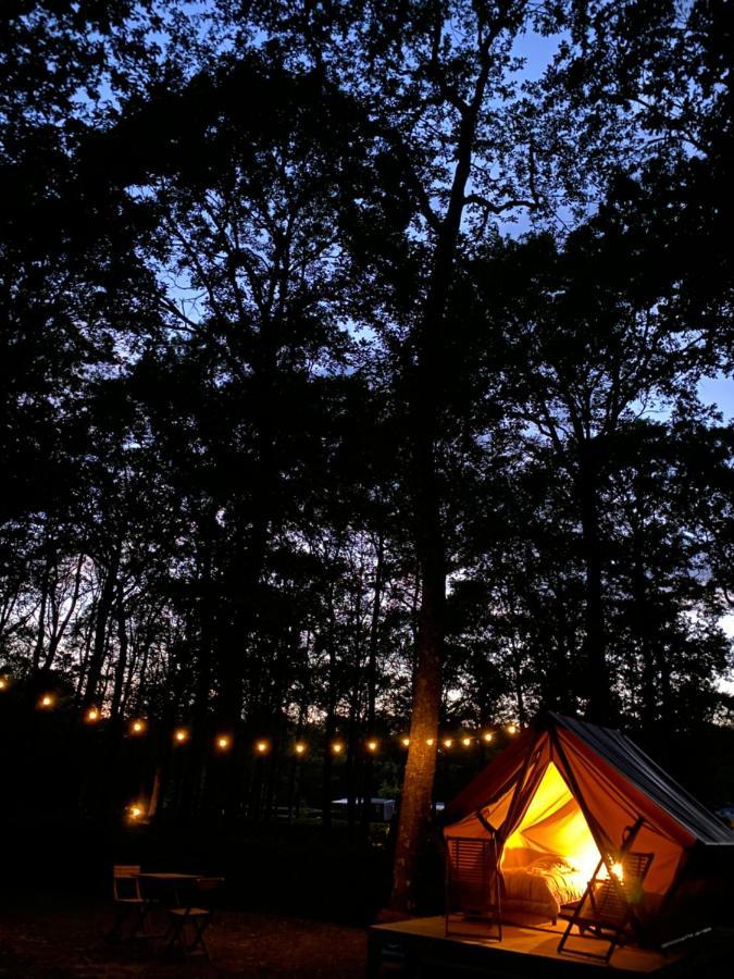 Camping De La Foret Seasonova Sillé-le-Guillaume Eksteriør bilde